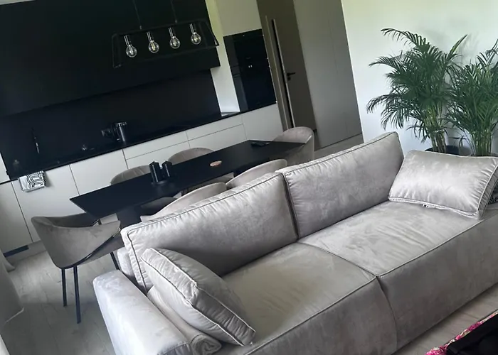 Komfortowy Apartment Z Jedna Sypialnia 60M Kw Lokalizacja Poznan Baranowo